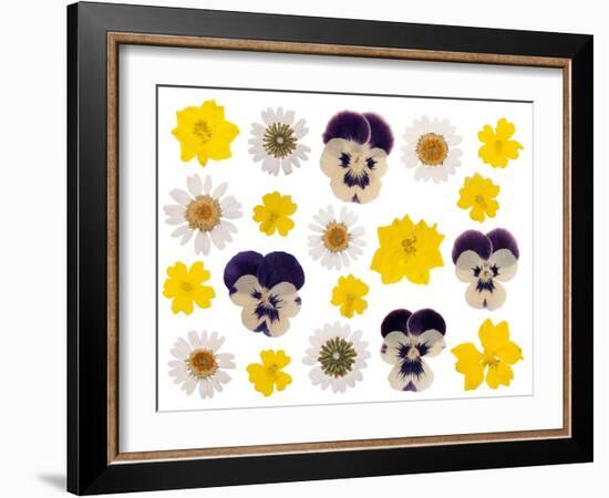 Pressed Flowers-Iwona Grodzka-Framed Art Print