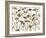 Pressed Hydrangea-Assaf Frank-Framed Giclee Print