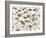 Pressed Hydrangea-Assaf Frank-Framed Giclee Print