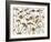 Pressed Hydrangea-Assaf Frank-Framed Giclee Print