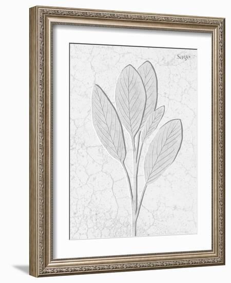 Pressed Plaques - Sage-Kristine Hegre-Framed Giclee Print