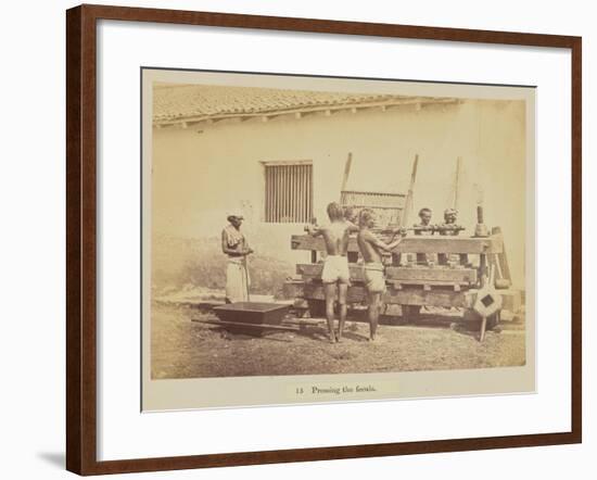 Pressing the fecula, 1877-Oscar Jean Baptiste Mallitte-Framed Giclee Print
