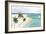 Prestine Beach-Allison Pearce-Framed Art Print