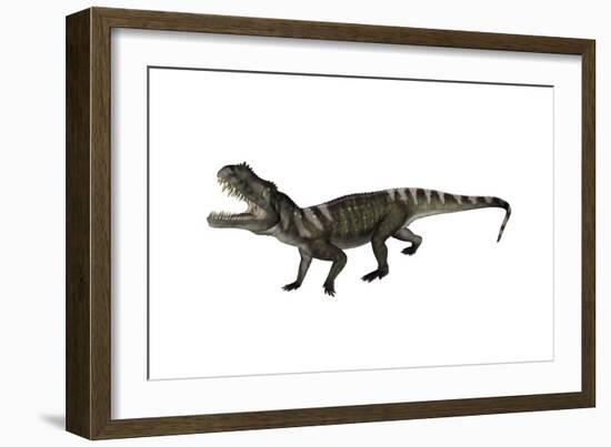 Prestosuchus Dinosaur Roaring-Stocktrek Images-Framed Art Print