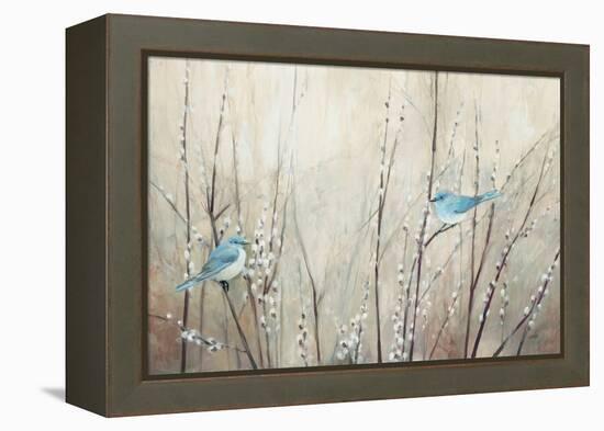 Pretty Birds Neutral-Julia Purinton-Framed Stretched Canvas