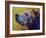 Pretty Boy Grizz-Marion Rose-Framed Giclee Print