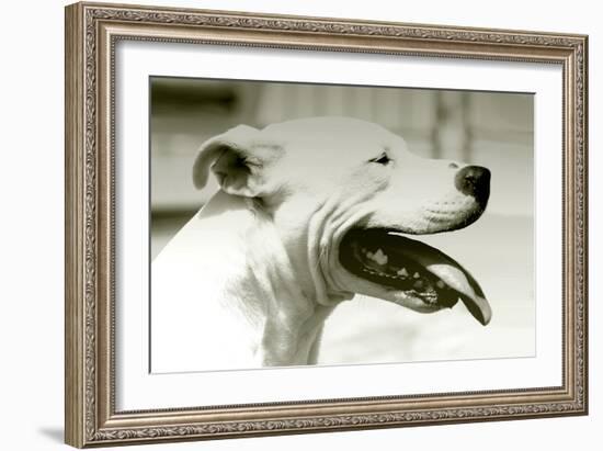 Pretty Boy-Karen Williams-Framed Photographic Print