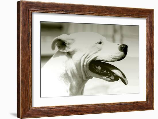 Pretty Boy-Karen Williams-Framed Photographic Print