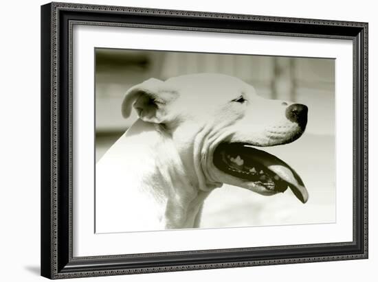 Pretty Boy-Karen Williams-Framed Photographic Print