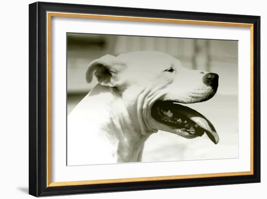 Pretty Boy-Karen Williams-Framed Photographic Print