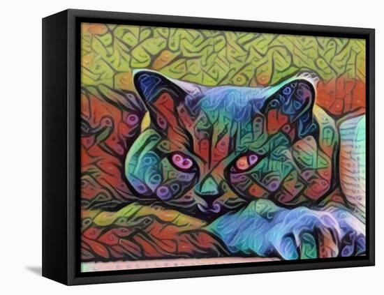 Pretty Cat-sylvia pimental-Framed Stretched Canvas