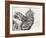 Pretty Collie Beastie, 1997-Vincent Alexander Booth-Framed Giclee Print