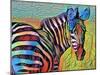Pretty Colorful Zebra-sylvia pimental-Mounted Art Print