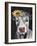 Pretty Cow on Black-Silvia Vassileva-Framed Art Print