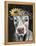 Pretty Cow on Black-Silvia Vassileva-Framed Stretched Canvas