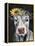 Pretty Cow on Black-Silvia Vassileva-Framed Stretched Canvas