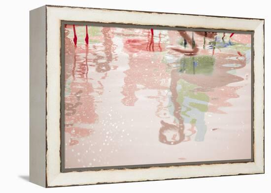 Pretty Flamingo-Valda Bailey-Framed Premier Image Canvas