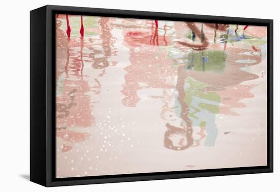 Pretty Flamingo-Valda Bailey-Framed Premier Image Canvas