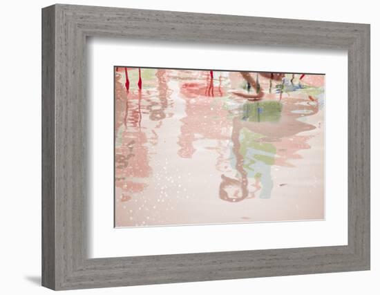 Pretty Flamingo-Valda Bailey-Framed Photographic Print