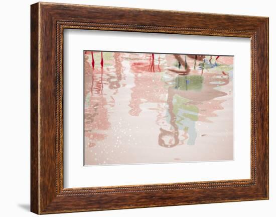 Pretty Flamingo-Valda Bailey-Framed Photographic Print