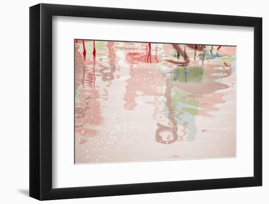 Pretty Flamingo-Valda Bailey-Framed Photographic Print