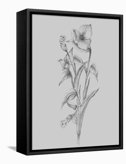 Pretty Flower I-Jasmine Woods-Framed Stretched Canvas