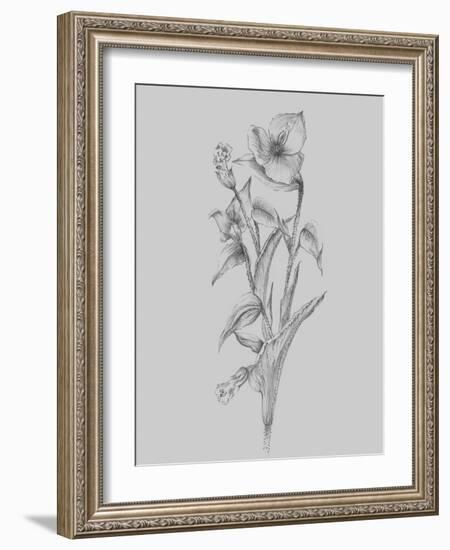 Pretty Flower I-Jasmine Woods-Framed Art Print