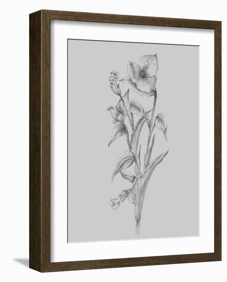 Pretty Flower I-Jasmine Woods-Framed Art Print