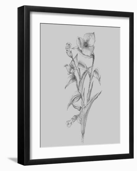 Pretty Flower I-Jasmine Woods-Framed Art Print