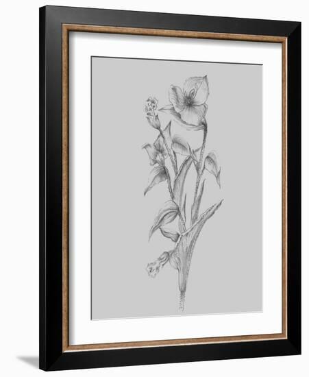 Pretty Flower I-Jasmine Woods-Framed Art Print