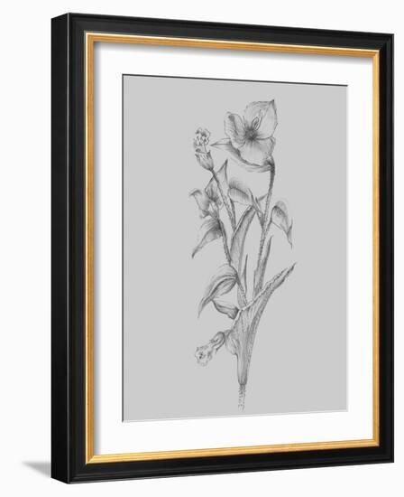 Pretty Flower I-Jasmine Woods-Framed Art Print