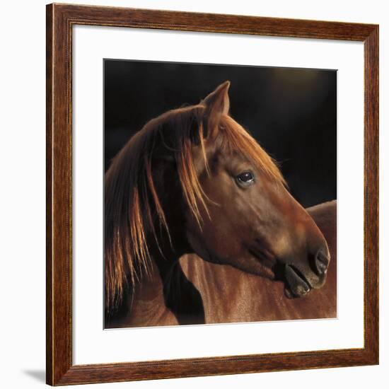 Pretty Girl-Wendy Caro-Framed Art Print