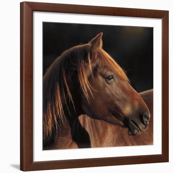 Pretty Girl-Wendy Caro-Framed Art Print