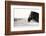 Pretty Girl-Aledanda-Framed Photographic Print