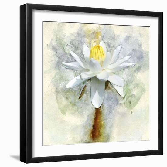 Pretty in Pastel II-Leda Robertson-Framed Photographic Print