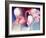 Pretty in Pink, 2012-Nancy Moniz-Framed Giclee Print