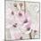 Pretty in Pink Blossoms 2-Megan Swartz-Mounted Art Print