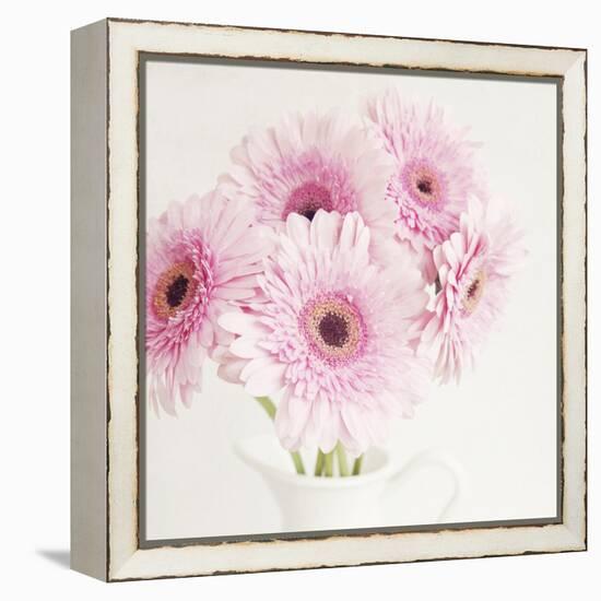 Pretty in Pink-Susannah Tucker-Framed Stretched Canvas