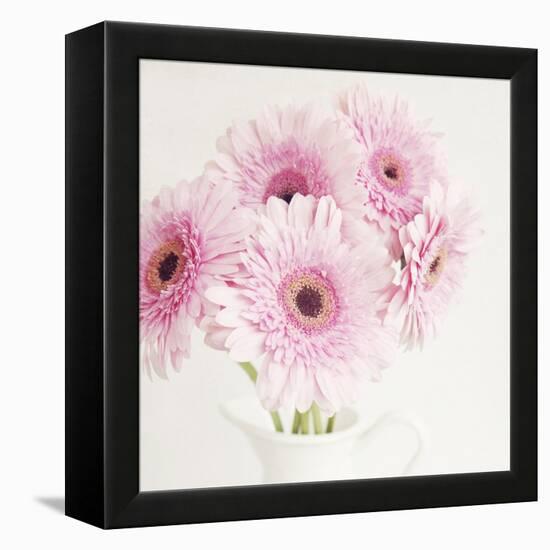 Pretty in Pink-Susannah Tucker-Framed Stretched Canvas