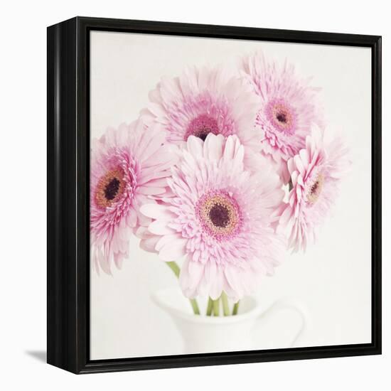 Pretty in Pink-Susannah Tucker-Framed Stretched Canvas