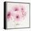 Pretty in Pink-Susannah Tucker-Framed Stretched Canvas