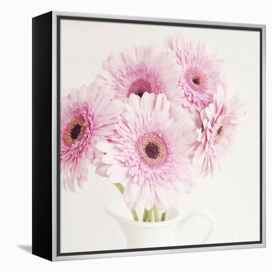 Pretty in Pink-Susannah Tucker-Framed Stretched Canvas