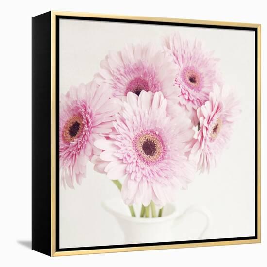 Pretty in Pink-Susannah Tucker-Framed Stretched Canvas