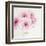 Pretty in Pink-Susannah Tucker-Framed Art Print