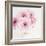 Pretty in Pink-Susannah Tucker-Framed Art Print