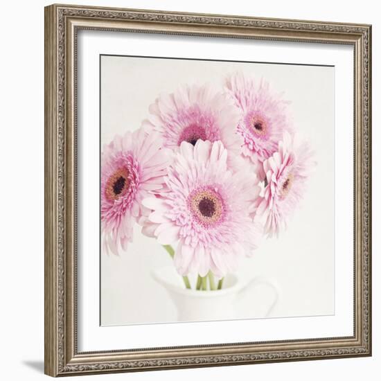 Pretty in Pink-Susannah Tucker-Framed Art Print