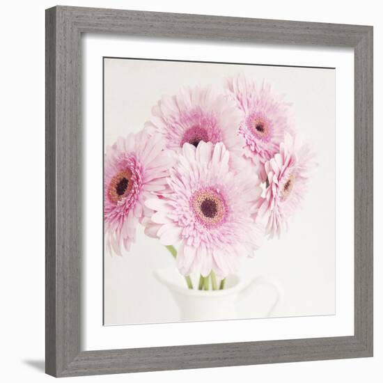 Pretty in Pink-Susannah Tucker-Framed Art Print