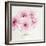Pretty in Pink-Susannah Tucker-Framed Art Print