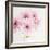 Pretty in Pink-Susannah Tucker-Framed Art Print