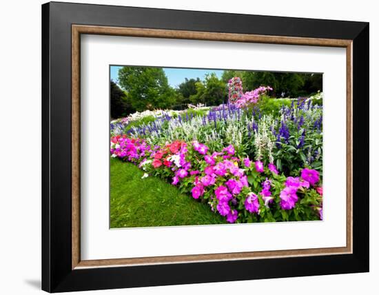 Pretty Manicured Flower Garden with Colorful Azaleas.-Juriah-Framed Photographic Print